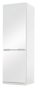 Холодильник Amica FK328.4 фото