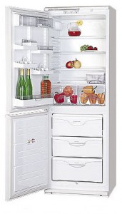 Холодильник ATLANT МХМ 1809-13 Фото