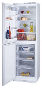 Холодильник ATLANT МХМ 1848-21 Фото