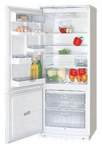 Kühlschrank ATLANT ХМ 4009-001 Foto