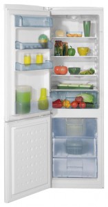Холодильник BEKO CS 328020 фото