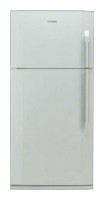 Холодильник BEKO DN 150100 Фото