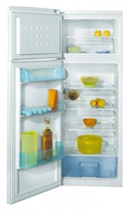 Холодильник BEKO DSA 25020 Фото