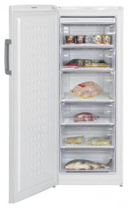 Холодильник BEKO FS 225300 Фото