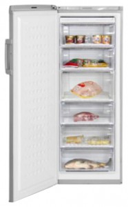Холодильник BEKO FS 225320 X фото