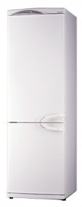 Buzdolabı Daewoo Electronics ERF-364 M fotoğraf
