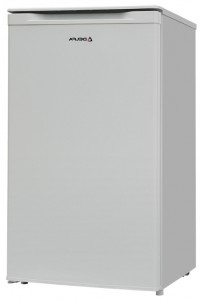 Kühlschrank Delfa BD-80 Foto