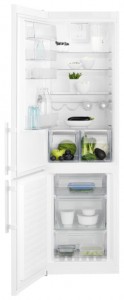 Buzdolabı Electrolux EN 3852 JOW fotoğraf