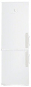 Buzdolabı Electrolux EN 4000 ADW fotoğraf