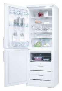 Kühlschrank Electrolux ERB 31099 W Foto