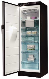 Ψυγείο Electrolux EUFG 2900 X φωτογραφία