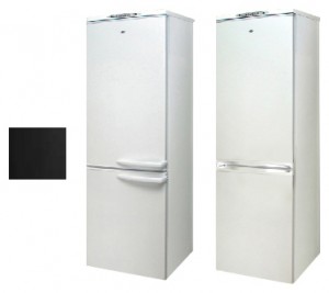 Холодильник Exqvisit 291-1-09005 фото