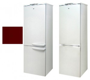 Холодильник Exqvisit 291-1-3005 Фото