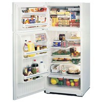 Холодильник General Electric TBG16JA фото