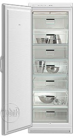 Холодильник Gorenje F 31 CC Фото