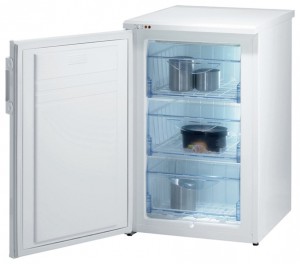 Холодильник Gorenje F 54100 W Фото