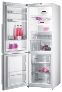 Холодильник Gorenje RK 65 SYW Фото
