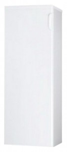 Kühlschrank Hisense RS-25WC4SAW Foto