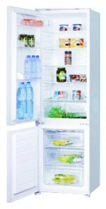 Холодильник Interline IBC 275 Фото