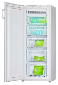Kühlschrank LGEN TM-152 FNFW Foto
