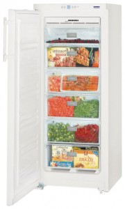 Холодильник Liebherr GNP 2303 Фото