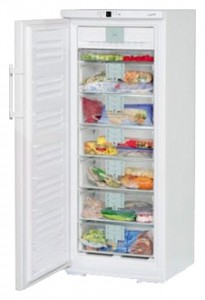 Kjøleskap Liebherr GNP 2906 Bilde