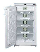 Холодильник Liebherr GSNP 2026 фото