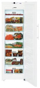 Kühlschrank Liebherr SGN 3063 Foto