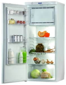 Kühlschrank Pozis RS-405 Foto