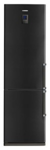 Buzdolabı Samsung RL-41 ECTB fotoğraf
