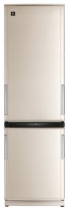 Køleskab Sharp SJ-WM371TB Foto