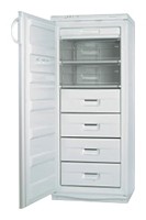 Холодильник Snaige F245-1704A Фото