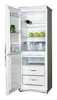 Холодильник Snaige RF310-1T03A фото