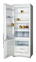Холодильник Snaige RF315-1T03А Фото