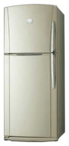 Холодильник Toshiba GR-H49TR CX фото