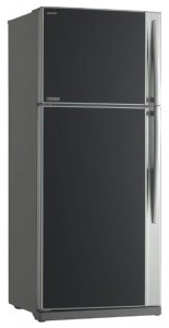 Kylskåp Toshiba GR-RG70UD-L (GU) Fil