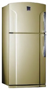 Køleskab Toshiba GR-Y74RD СS Foto
