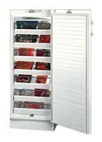 Холодильник Vestfrost BFS 275 H Фото