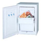 Холодильник Ока 124 Фото