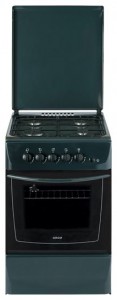 Kitchen Stove NORD ПГ4-101-4А GY Photo