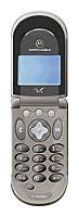 Mobilusis telefonas Motorola V66 nuotrauka