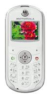 携帯電話 Motorola W200 写真