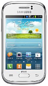 Telefon mobil Samsung Galaxy Young Duos GT-S6312 fotografie