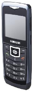 Mobiltelefon Samsung SGH-U100 Foto