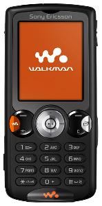 Cellulare Sony Ericsson W810i Foto