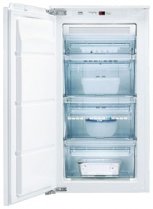 Холодильник AEG AN 91050 4I Фото