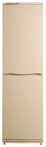 Холодильник ATLANT ХМ 6025-081 Фото