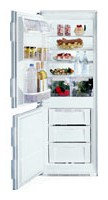 Buzdolabı Bauknecht KGI 2900/A fotoğraf