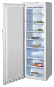 Kühlschrank BEKO FN 129920 Foto