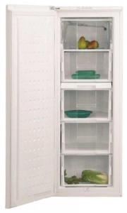 Холодильник BEKO FSE 21920 Фото